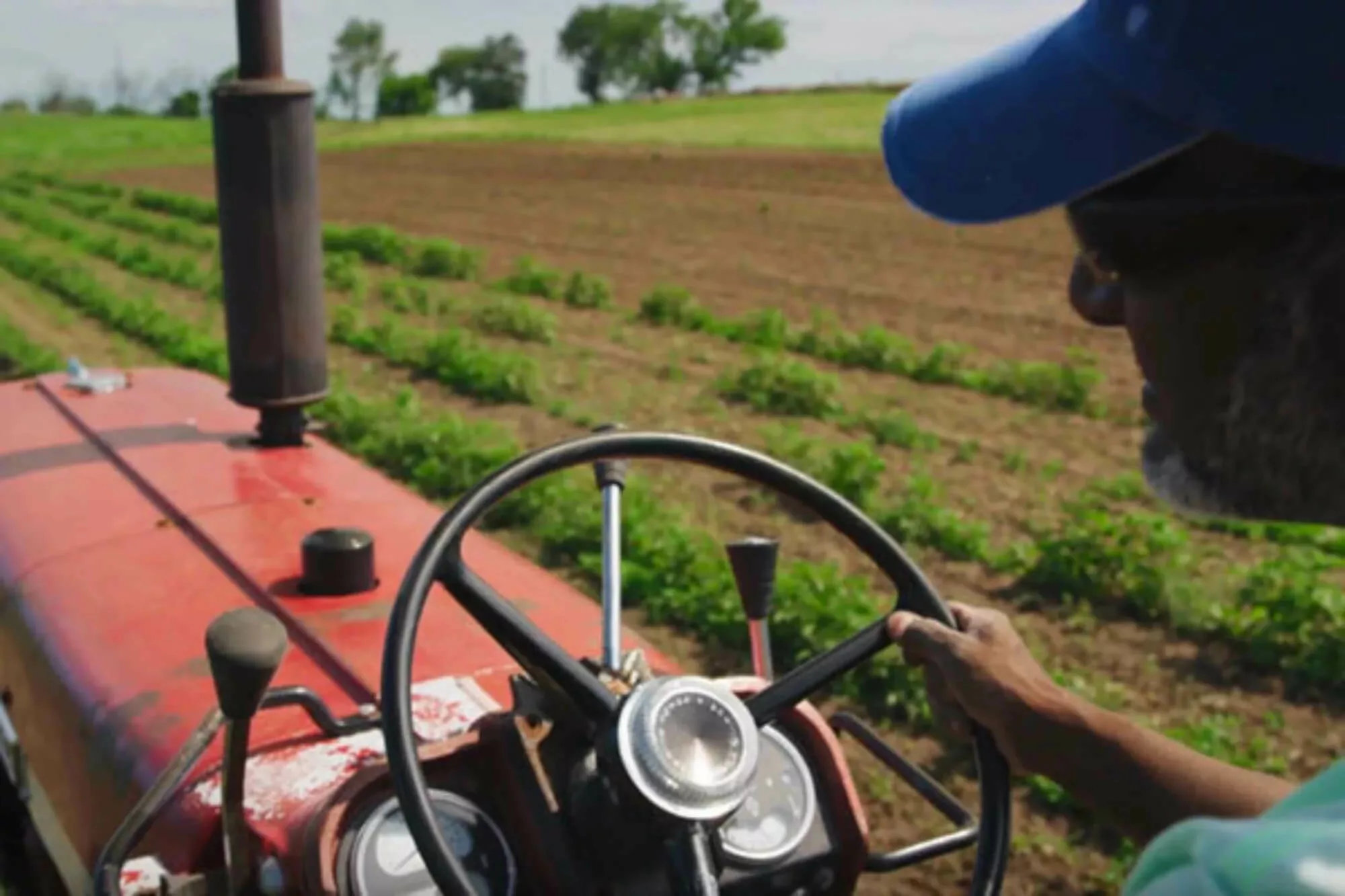 Farmer behind the steering wheel of a tractor.